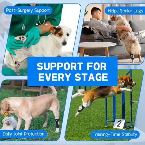 Miniatura 7 de Soporte para piernas de perro, soporte para piernas traseras caninas, alivia el dolor de esguinces, artritis, mejora la estabilidad, ayuda