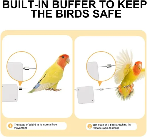 Miniatura 8 de Correa ajustable para loro para ejercicio seguro y controlado para pájaros con mecanismo de mosca automática