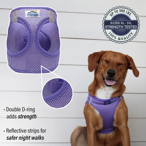 Miniatura 3 de Doggie Design Arnés para perro – Arnés sin estrangulamiento para mascotas, chaleco para perro, malla de poliéster, diseño simple, chaleco