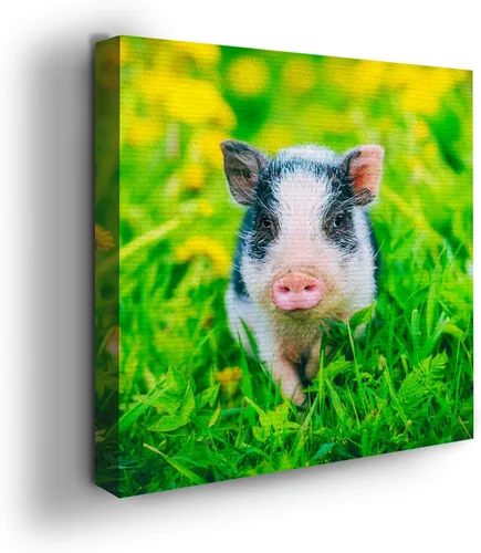 Miniatura 43 de Mavis Print - Lienzo decorativo para pared con diseño de conejo/conejo, 36 x 36 pulgadas, decoración de pared de animales impresos en HD y marco
