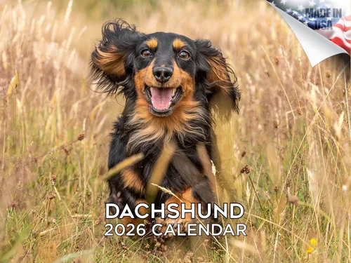 Miniatura 56 de Calendario 2025 2026 de cachorros Cocker Spaniel - Calendario mensual de pared de raza de perro - 12" x 24" abierto - Papel grueso sin sangrado