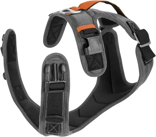Miniatura 4 de Gooby Pioneer Arnés para perro con asa de control y capacidad de sujeción del cinturón de seguridad, grande, rojo