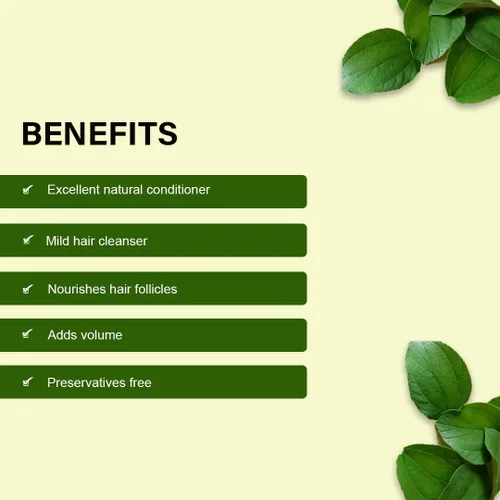 Miniatura 4 de Sidr (Ziziphus jujuba) Hojas en polvo - 100% natural suave limpiador de cabello, Qasil vegano para el cuidado del cabello - 100 gms