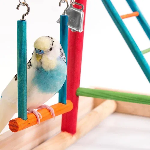 Miniatura 7 de Penn-Plax Centro de Actividades para Aves – Perfecto para Aves Jóvenes o Pequeñas Varios