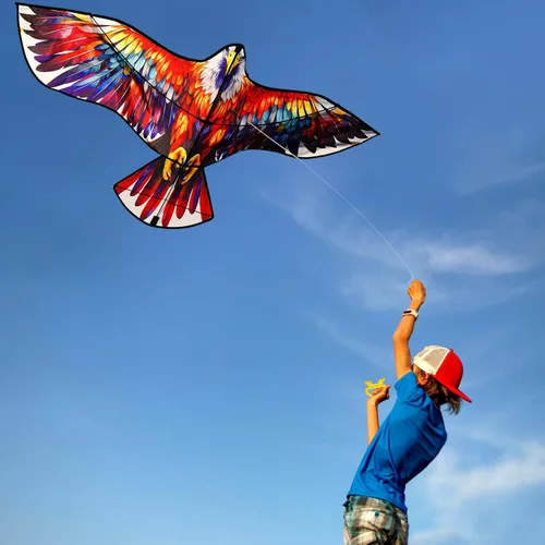 Miniatura 4 de HENGDA KITE Cometa de águila, para niños y adultos, fácil de volar, excelente diseño de tela y estructura, las imágenes son hermosas en alta