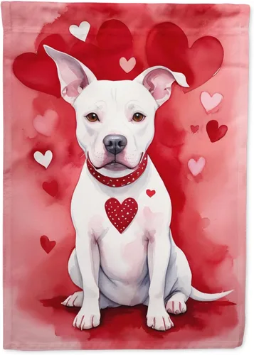 Miniatura 19 de Caroline's Treasures DAC5292CHF - Bandera de Border Collie My Valentine House para porche, grande, con manga para porche, para colgar en la pared
