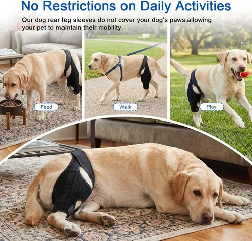 Miniatura 6 de Rodillera para perro para ACL con estabilizadores laterales, soporte ajustable para cornejo articular, recuperación de cirugía de piernas caninas