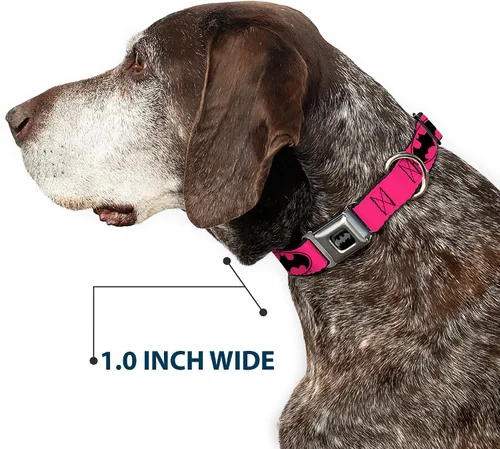 Miniatura 6 de Collar de perro hebilla de cinturón de seguridad Bat Signal 3 Fucsia Negro Fucsia 15 a 26 pulgadas 1.0 pulgadas de ancho