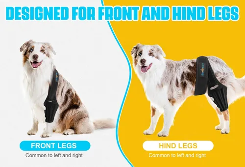 Miniatura 6 de Férula ACL para Perro para Luxación de Rótula en Pata Trasera, Soporte Ajustable de Pata Trasera para Perro para Dolor Articular, Dolor Muscular