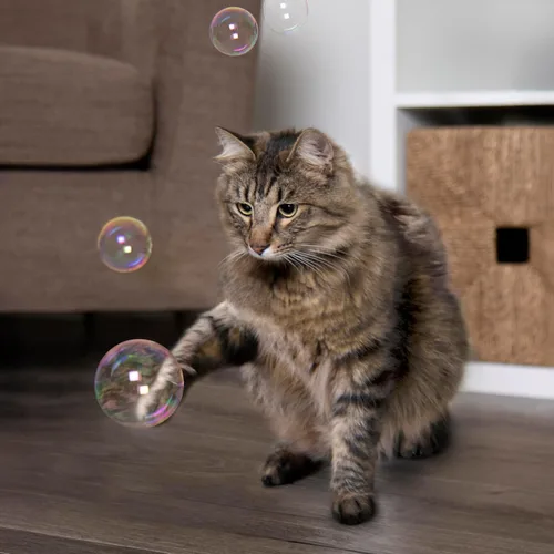 Miniatura 7 de SmartyKat Bubble Nip - Burbujas de hierba gatera para gatos y gatitos, seguras para mascotas, tamaño de prueba, 0.6 onzas líquidas