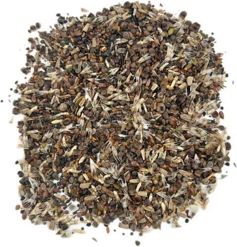 Miniatura 6 de Ferry Morse Mezcla para Todo Propósito Sol-Sombra a Granel Semillas de Flores Silvestres, 1 lb