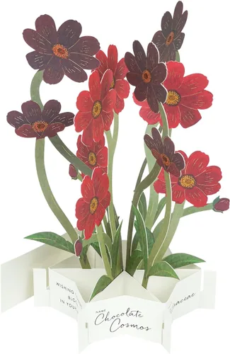 Miniatura 8 de GreetingLife KE-33 - Tarjeta de felicitación de cumpleaños