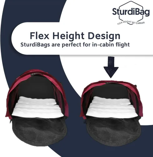 Miniatura 6 de SturdiBag XL - Transportador de viaje para mascotas: altura flexible para gatos y perros, lados suaves con clips de seguridad y correas