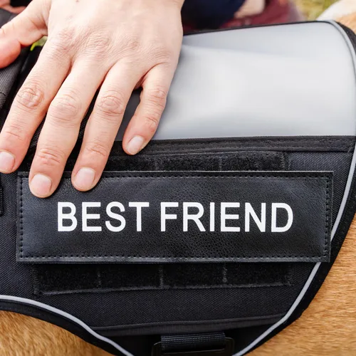 Miniatura 6 de Chaleco para perro de servicio sin tirones para perro de tamaño mediano con 4 hebillas de metal y doble costura, chaleco reflectante sin tirones