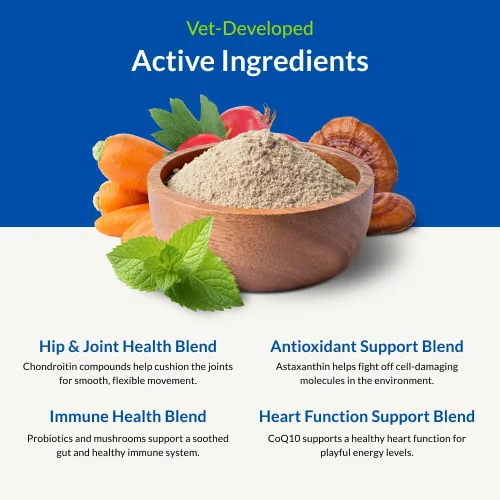 Miniatura 3 de Ultimate Pet Nutrition Nutra Thrive Canine, suplemento nutricional en polvo 40 en 1 para perros con digestión y apoyo inmunológico, vitaminas