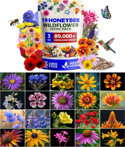 Miniatura 20 de HOME GROWN Semillas de calabaza 5 variedades, mezcla de 40+ reliquia sin OMG, alta germinación, campo de Connecticut, azul, blanco y mini calabazas