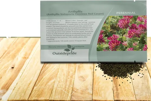 Miniatura 8 de Outsidepride 100 semillas perennes de flores rojas Anthyllis semillas de cobertura del suelo para plantar