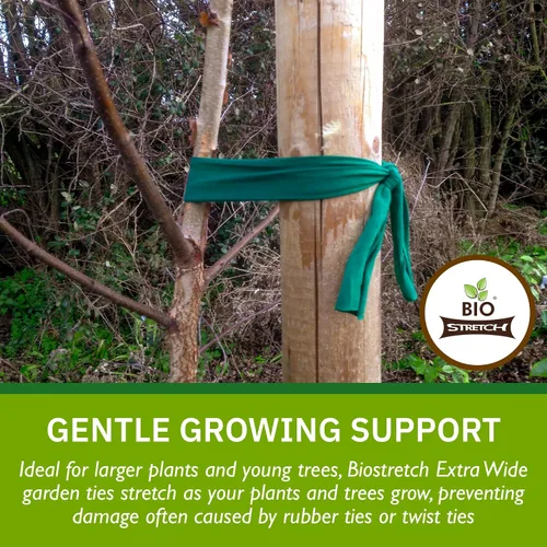 Miniatura 3 de Lazos Suaves Extra Anchos para Árboles - Soporte Fuerte y Elástico para Plantas Grandes y Árboles Jóvenes - Cinta Verde de Jardín Cortada a Medida