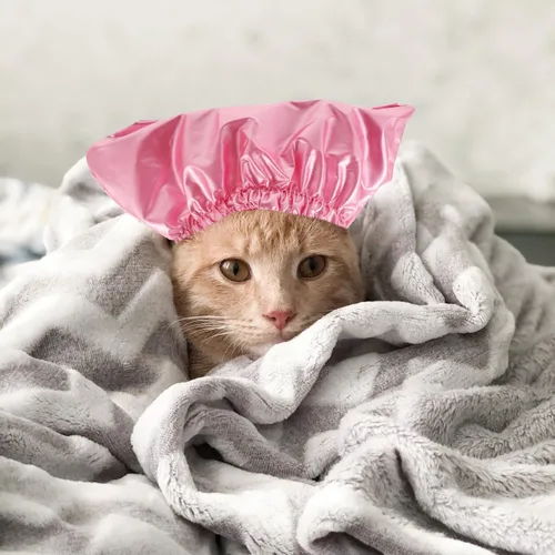 Miniatura 4 de balacoo Gorro de ducha impermeable para mascotas para perros y gatos, gorra de baño ajustable para cachorros con protección para los oídos