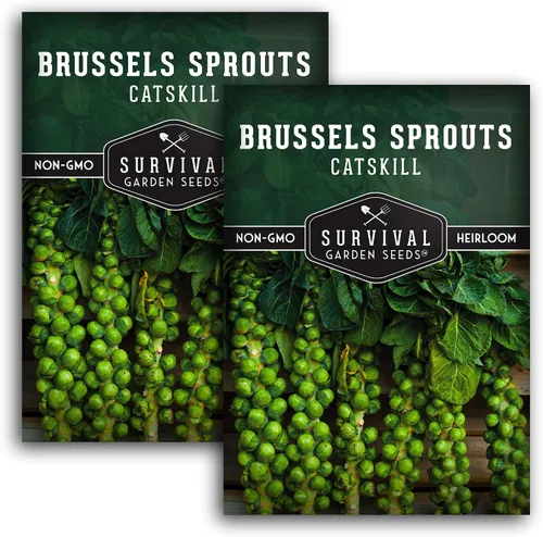 Miniatura 10 de Survival Garden Seeds - Semillas de coles de Bruselas Catskill para plantar - Paquete con instrucciones para plantar y cultivar sabrosas verduras