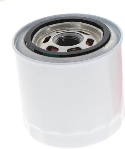Miniatura 2 de Filtro de aceite para válvula de silicona FL820S de Motorcraft