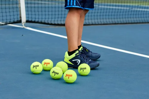Miniatura 9 de Penn Pelotas de tenis Championship - Pelotas de tenis a presión de fieltro de servicio regular