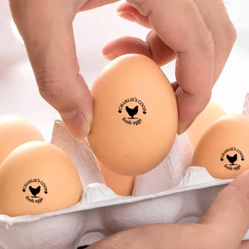 Miniatura 6 de Sello de huevo personalizado, sellos de huevos personalizados para huevos frescos para pollo de granja, 13 estilos disponibles con texto y caja