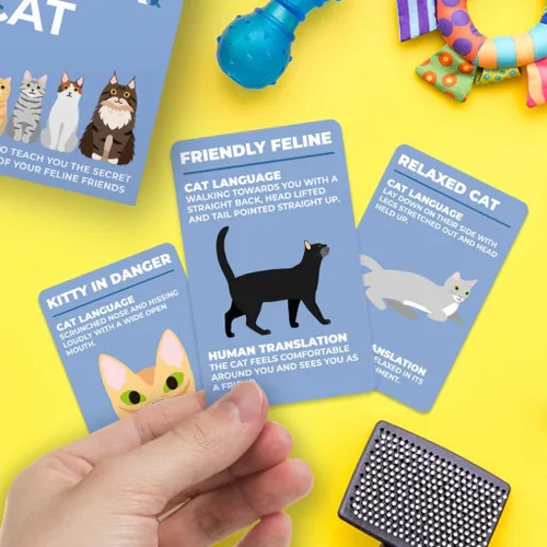 Miniatura 3 de Gift Republic How To Speak Cat 100 tarjetas regalo divertido para los amantes de los gatos Aprende lo que tu gatito está diciendo tarjetas