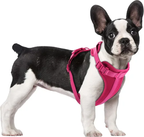 Miniatura 12 de Arnés ligero para perro sin tirones: arnés ajustable y duradero de malla transpirable con cojín suave y cómodo, para perros pequeños, medianos y Lila