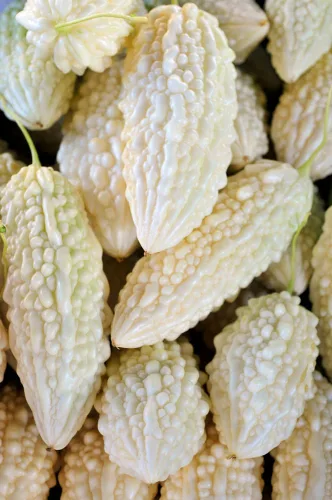 Miniatura 6 de Semillas de melón para plantar (10 semillas) - Cultiva tu propio alimento (Melón amargo negro)