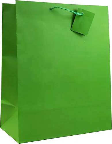allgala Bolsas de regalo, paquete de 12 bolsas de regalo grandes de 13 x 10 x 5.5 pulgadas con asas para cumpleaños, bodas, suministros de fiesta,
