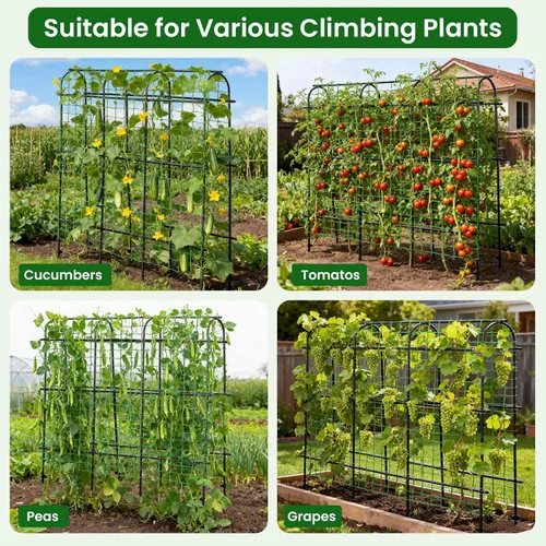 Miniatura 4 de OTOSUNNY Enrejado de Jardín para Plantas Trepadoras al Aire Libre, Túnel de Arco de 6 Pies de Altura, Soporte de Plantas de Marco en A de Metal