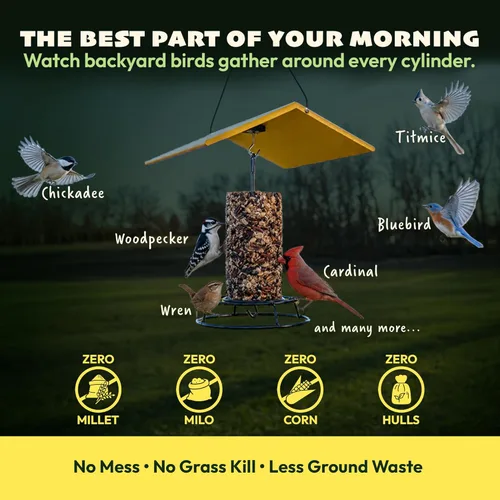 Miniatura 5 de JCs Wildlife Cilindro de semillas de pájaros con agujero, sin ensuciar, sin relleno, alimento para pájaros silvestres para comederos exteriores