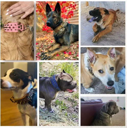 Miniatura 5 de The Mighty Collar Grande con Pinchos y Tachuelas para Perro - Protege el Cuello de tu Perro de Mordeduras, Duradero y Elegante, para Perros Grandes