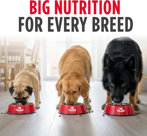 Miniatura 5 de Nulo Frontrunner - Alimento seco para perros, receta de carne de res alta en proteínas, cebada y cordero, croquetas naturales con granos antiguos