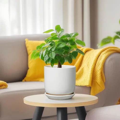 Miniatura 8 de Maceta de Cerámica para Plantas de Interior de 5 Pulgadas - Maceta Redonda para Plantas Suculentas con Agujero de Drenaje y Platillo, Decoración