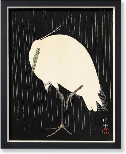 Miniatura 71 de Poster Master Vintage James Audubon Póster - Impresión Retro de Cuervo - Arte de Aves de América - Arte de Aves - Regalo para Hombres, Mujeres