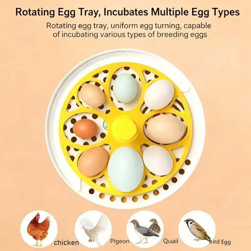 Miniatura 3 de Tissting Incubadora de huevos con giro manual de huevos y control de humedad, incubadoras para incubar huevos, incubadora de aves de corral