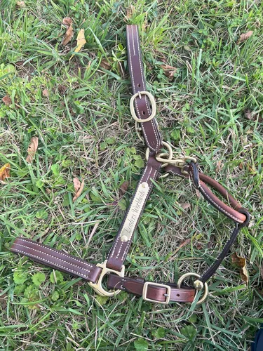 Miniatura 7 de Leaders - Cabestro de cuero para caballos con placa de nombre grabada personalizada para caballo