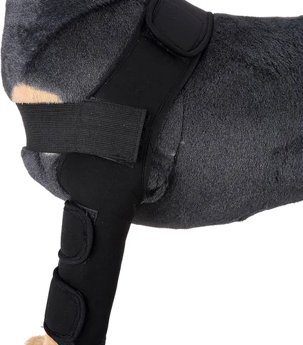 Miniatura 4 de Soporte de pierna de perro para pierna delantera y codo, protector de compresión para desgarro de ACL para cicatrización de heridas, prevención