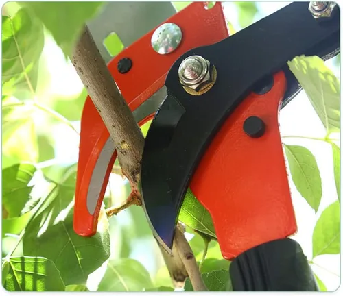 Miniatura 6 de Cabezal de podadora extensible de rama de sierra de poste para poda de poda de árboles