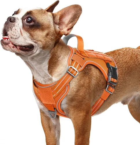 Miniatura 33 de rabbitgoo - Arnés para perros pequeño sin tirones, chaleco táctico de servicio con Molle y asa de control, arnés militar ajustable y reflectante