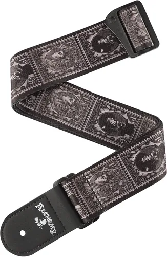 Miniatura 7 de D'Addario Correas de guitarra Alchemy