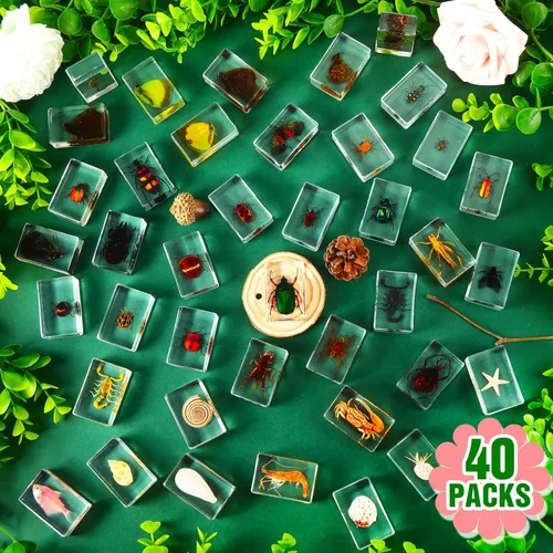 Miniatura 2 de 40 piezas de insectos en resina colección de insectos, pisapapeles, insectos reales en resina, varios espécimenes de insectos para niños