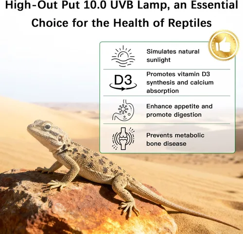 Miniatura 3 de T5 10.0 UVB - Kit combinado de lámpara de reptil UVB de 8 W de alto rendimiento con reflector de aleación más amplio mejorado para dragones