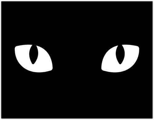 Miniatura 71 de Señal de Gato de 24 Horas de Vigilancia Felina de Premises Under 24 Hour - Cartel de gato divertido, metal, 8 x 12 pulgadas, letreros de gato