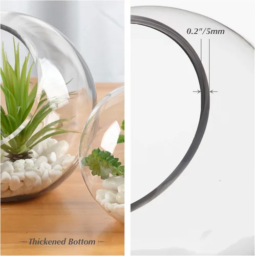 Miniatura 3 de WGV Jarrón de vidrio con corte inclinado, ancho 14 cm, altura 14 cm, transparente, redondo, maceta para plantas, terrario, orbe, recipiente