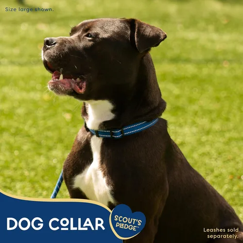 Miniatura 2 de Good Scout Collar de perro resistente para perros pequeños, collar de entrenamiento para cachorros con bucle flexible ajustable para un ajuste