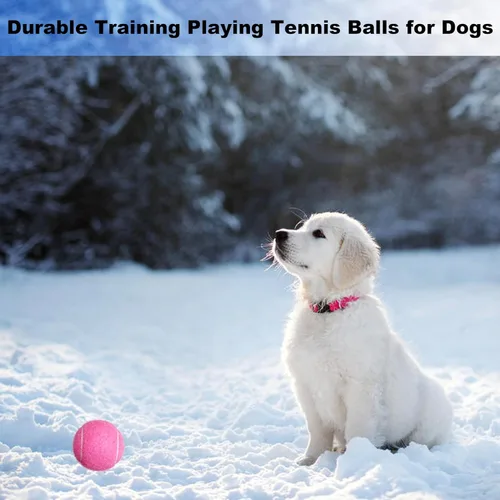Miniatura 7 de Pelotas de tenis, paquete de 12 pelotas de tenis de práctica para principiantes, entrenamiento para jugar pelotas de tenis para perros, vienen