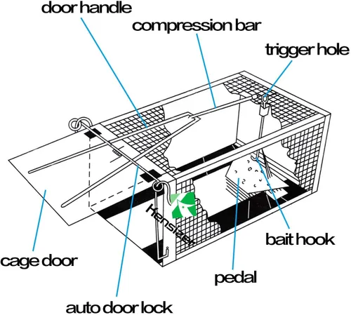 Miniatura 3 de Kensizer Paquete de 2 trampas para jaula animal, humana, que funciona para ratones, ratones, ardillas, ratones, ratones, ratones, hámsteres y otros